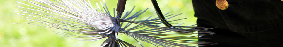 Banner - Achim Forstner